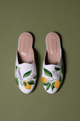 A blossoming morning