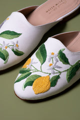 A blossoming morning