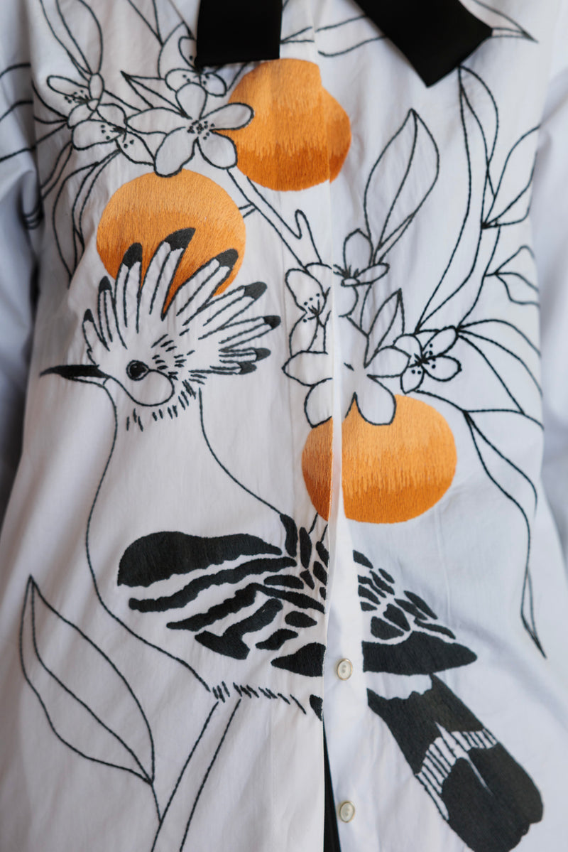 Orange dream