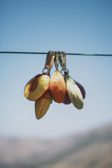 Half peach charm